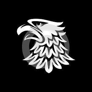 Eagle head in black background vector illustration