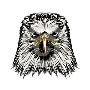 Eagle head black and white illustration on white background, digita photo