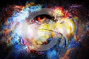 Eagle head in cosmic space. Animal concept. Profile portrait.