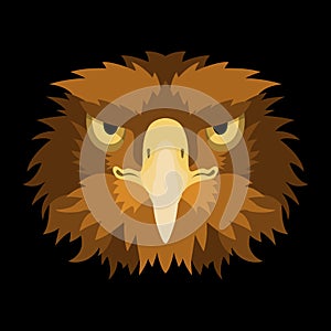 Eagle head face vector illustration style Flat