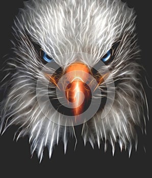 Eagle head fractalius effect