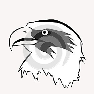 Eagle head illustration vector design for mascots