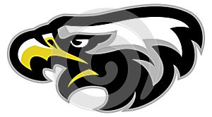 Eagle head mascot