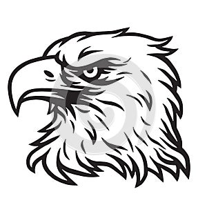 Eagle Head Mascot Vector Drawing Logo