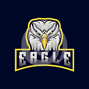 eagle head mascot vector logo e sport gaming design, team sport badge design