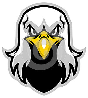 Eagle head mascot photo