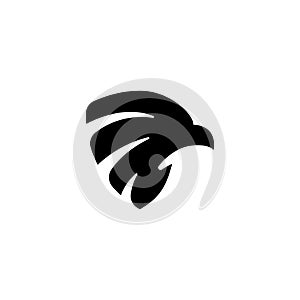 Eagle head shield logo design. Eagle head silhouette. Security logo