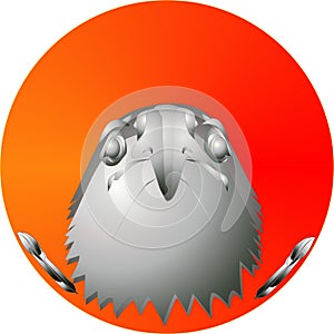 Eagle head on sunrise, illustration