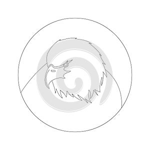 Eagle head, vector illustration,lining draw,