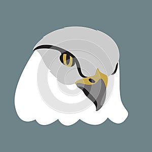 Eagle head vector illustration style flat front