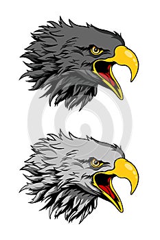 Eagle head wild life two difference head animal vector