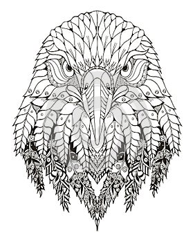 Eagle head zentangle stylized, vector, illustration, freehand