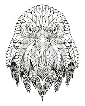 Eagle head zentangle stylized, vector, illustration, freehand photo