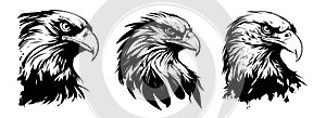 Eagle heads black and white vector. Silhouette svg shapes of eagle illustration.