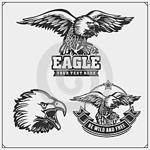 Eagle heraldry coat of arms. Labels, emblems and design elements for sport club.