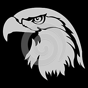 Eagle icon - Animal icon - Eagle icon with color background - Animal symbol