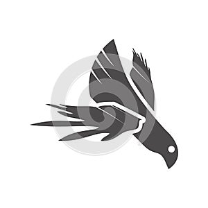 Eagle icon in flat style.Vector illustration.
