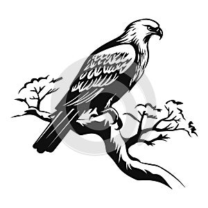 eagle icon illustration isolated vector sign symbol