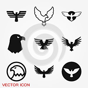 Eagle icon. Logo design vector template, flat icon