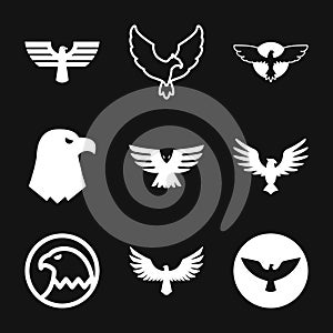 Eagle icon. Logo design vector template, flat icon