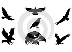 eagle icon, logo, simple design set vector eps 10