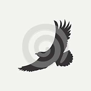 Eagle icon. Logo template. Bird of predator. Vector.