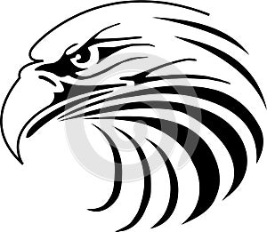 Eagle illustration