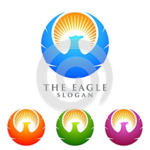 Eagle logo emplate, falcon, hawk vector logo design