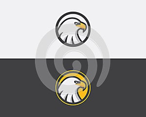 Eagle Logo and Icon Design