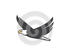 Eagle Logo and Icon Design