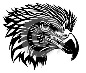 Eagle logo vector illustration on white background