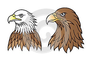 Eagle Logo vector photo