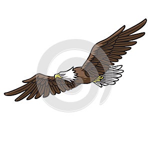 Eagle Mascot Logo Spread Wings Vector Illustration