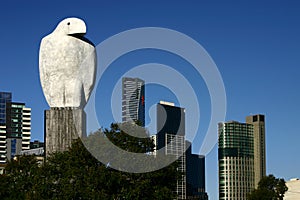 Eagle in Melbourne