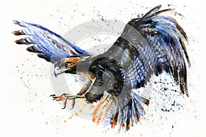 The eagle n the sky, Wild and Free watercolor colorful painting, wild predator, king hunter