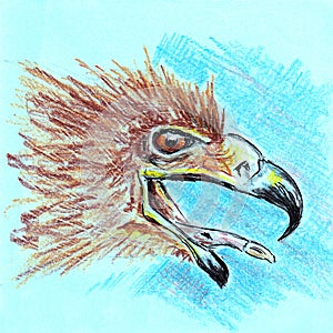 Eagle with open beak portrait closeup. Hand drawn sketch with ballpen and colored pencils on blue paper texture. Bitmap