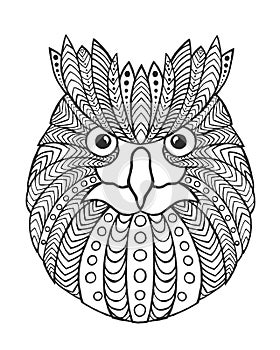 Eagle owl head. Adult antistress coloring page