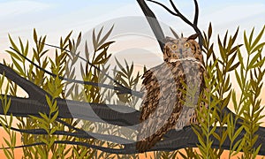 Eagle owl sits on a tree branch. Predatory bird