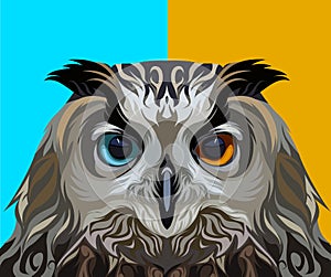 Eagle owl in vector