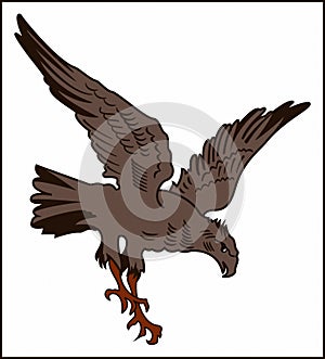 EAGLE PREDATORY BIRD