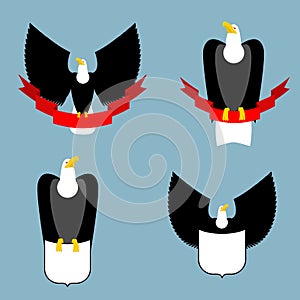 Eagle and red ribbon set. Black bird predator. Hawk and shield.