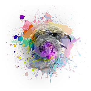 Eagle`s head illustration on white background with colorful creative elementswith colorful creative elements
