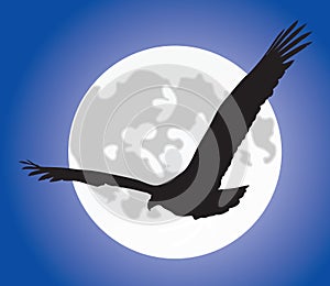 Eagle silhouete over moon photo