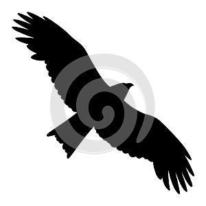 Eagle silhouette 011