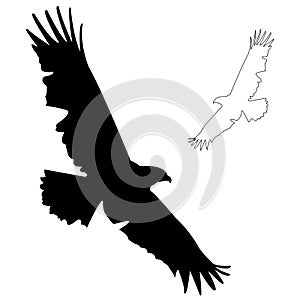 Eagle silhouette