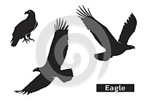 Eagle silhouette set. zoo symbol of strength, highness, element of air. eagle symbol of usa