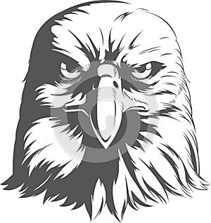 Eagle Silhouettes Vector - Front View