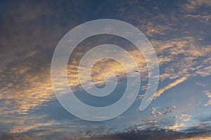 Eagle sky beautiful clouds. A black silhouette of a bird of prey soaring among the clouds