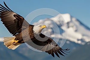 Eagle soaring high above a mountain range