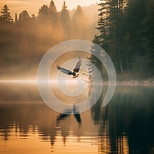 Eagle soaring over a serene lake nature photography. Generative AI